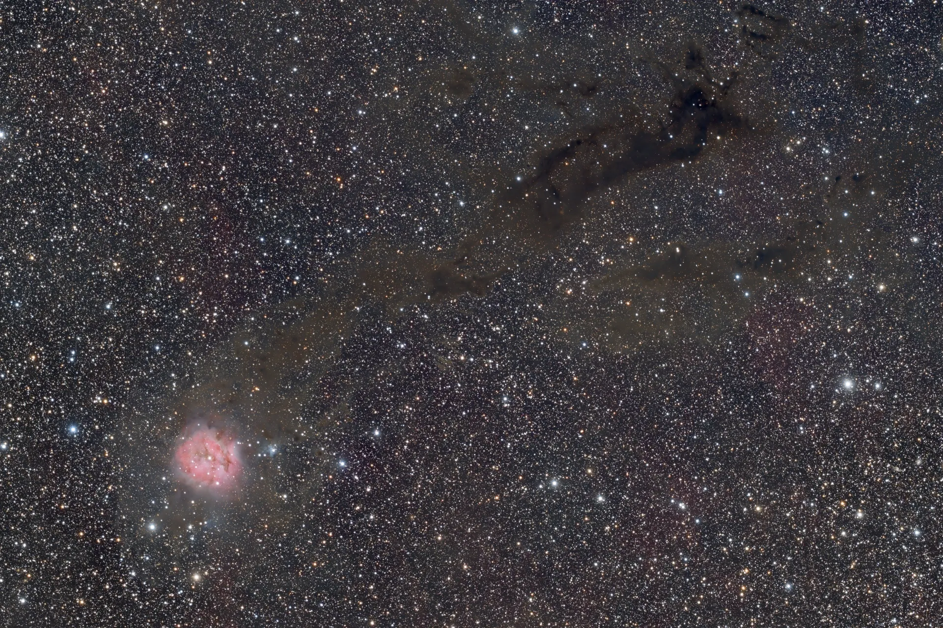 IC 5146 - Kokon-Nebel
